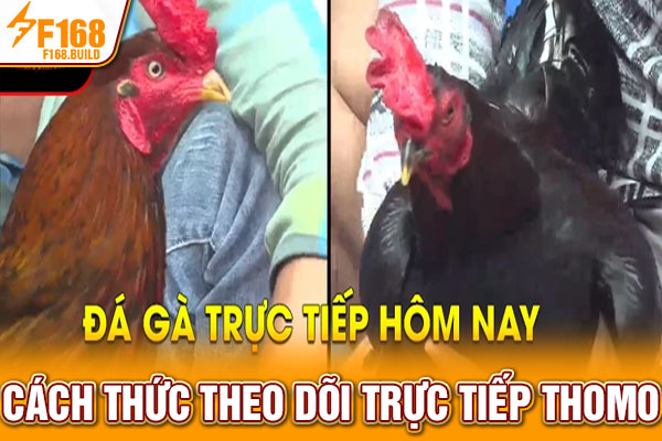 Cách thức theo dõi trực tiếp Thomo