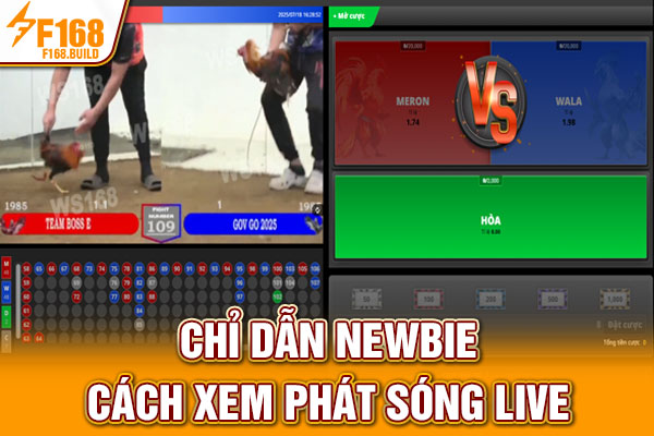 Chỉ dẫn newbie cách xem phát sóng live