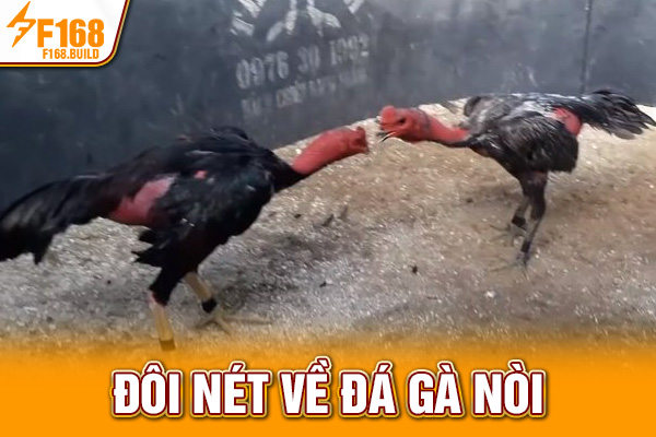 Đôi nét về đá gà nòi
