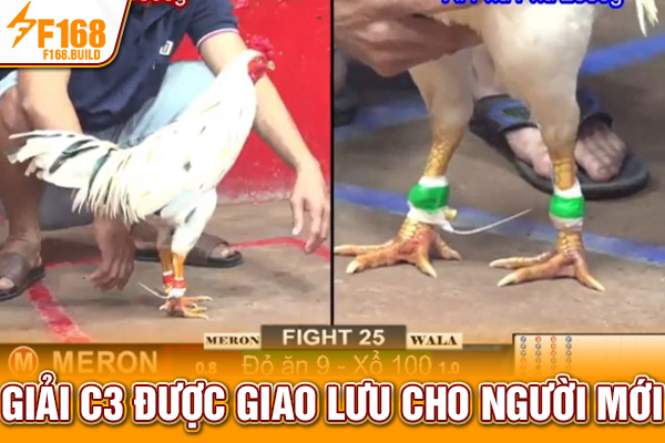 Giải C3 được giao lưu cho người mới