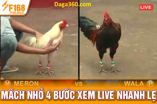 Mách nhỏ 4 bước xem live nhanh lẹ