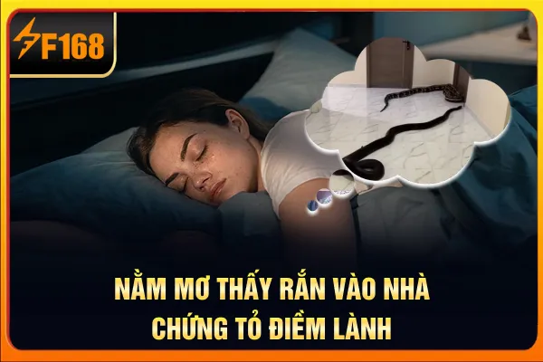 Nằm mơ thấy rắn vào nhà chứng tỏ điềm lành
