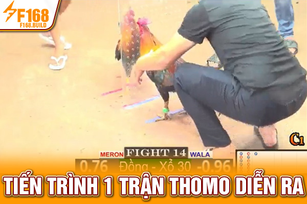 Tiến trình 1 trận Thomo diễn ra